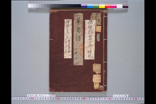 Flower and Bird Album