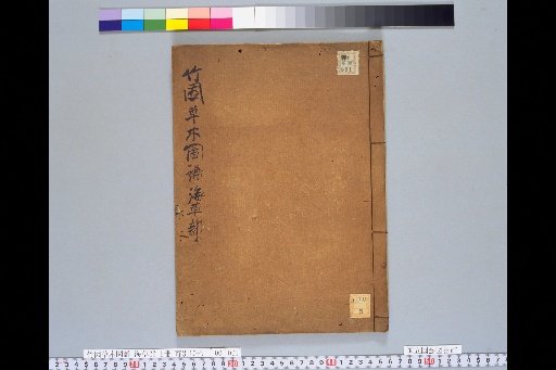 Takezono Botanical Diagram: Seaweed Section