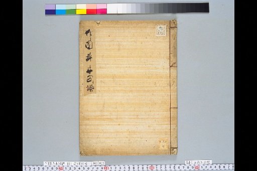 Takezono Botanical Diagram