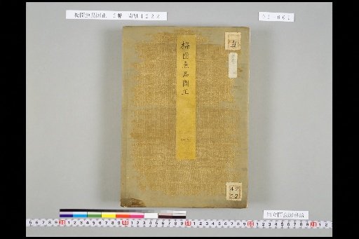 Corrected Illustrations of Fish from Plum Garden, Volume 1