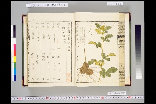 Illustrated Compendium of Materia Medica, Volume 1, Scroll 6: Mountain Herbs, Part 1, Lower