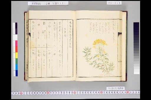 Illustrated Compendium of Materia Medica, Volume 2, Scroll 14: Moist Herbs, Part 2