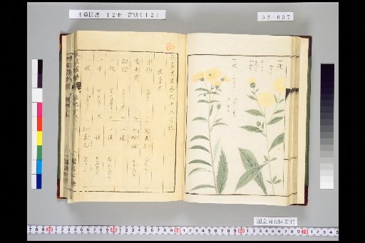 Illustrated Compendium of Materia Medica, Volume 2, Scroll 15: Moist Herbs, Part 3