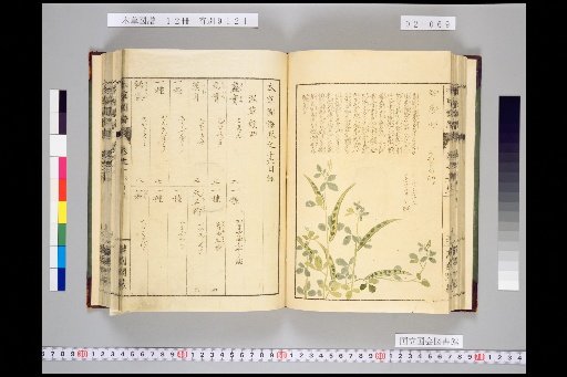 Illustrated Compendium of Materia Medica, Volume 2, Scroll 16: Moist Herbs, Part 4