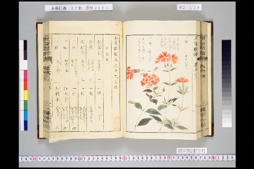 Illustrated Compendium of Materia Medica, Volume 2, Scroll 19: Moist Herbs, Part 7