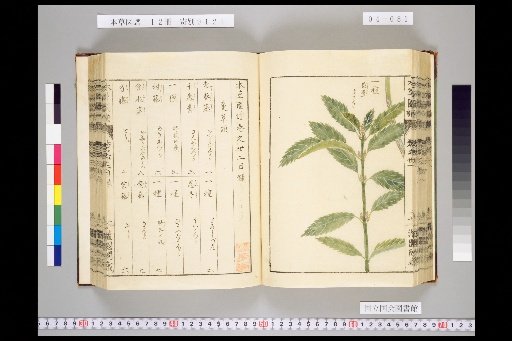 Illustrated Compendium of Materia Medica, Volume 4, Scroll 32: Climbing Herbs, Part 8