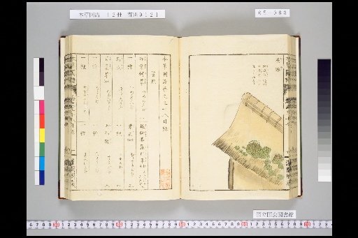 Honsō Zupō, Volume 5, Scroll 38: Mosses 2