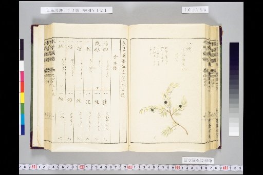 Honsō Zuppu, Volume 10, Scroll 78: Fragrant Woods, Part 2
