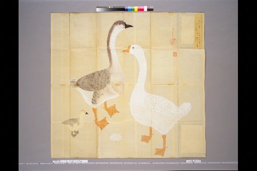 [Bird Sketches] Geese, Two Varieties