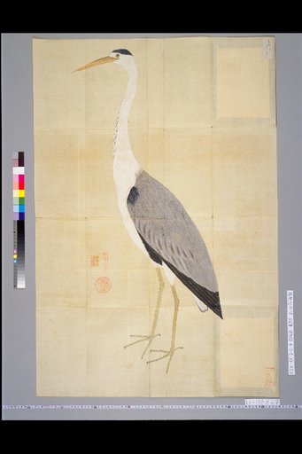 [Bird Sketches] Blue [Sag]
