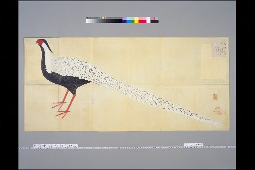 [Bird Sketches] Silver Pheasant, Male