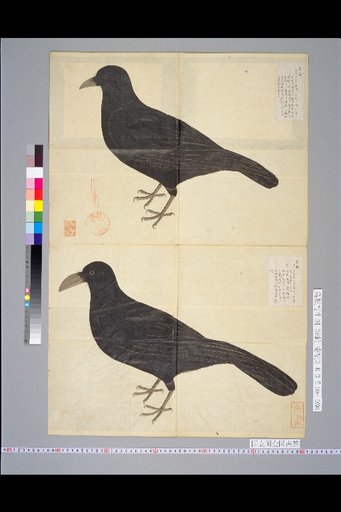 [Bird Sketches] Picture of the Filial Bird and Crow
