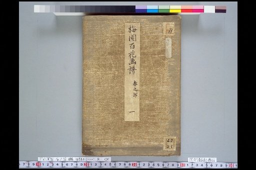 Plum Garden Flower and Plant Catalogue, Spring Part 1