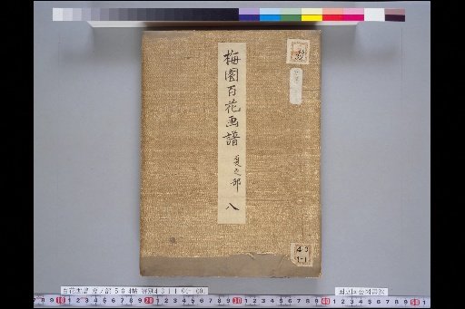 Plum Garden Flower and Plant Catalogue, Summer Part 8