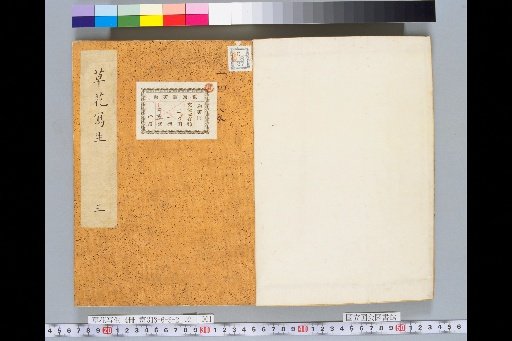 Sketches of Grass and Flowers, Volume 2, No. 3