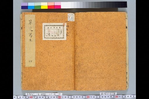 Sketches of Grass and Flowers, Volume 2, No. 4