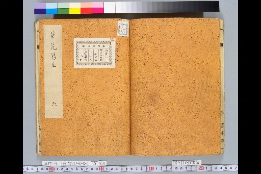 Sketches of Grass and Flowers, Volume 3, No. 6