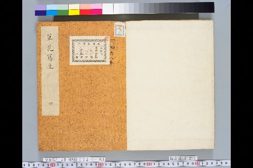Sketches of Grass and Flowers, Volume 4, No. 7