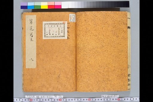 Sketches of Grass and Flowers, Volume 4, No. 8