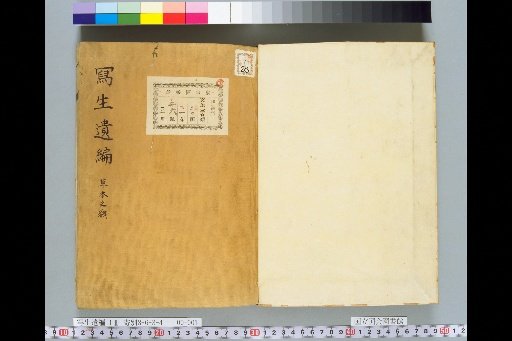 Posthumous Sketches: Plants and Herbs
