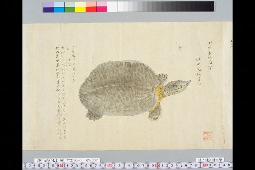 Illustrated Evidence of Lake Products, Part 2, Volume 3, Lower