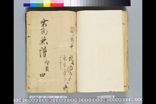 Kuri's Fish Catalogue, Volume 1, Volume 4