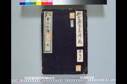 Kuri's Fish Catalogue, Volume 2, Volume 3