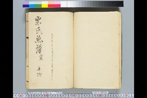 Kuri's Fish Catalogue, Volume 6, Volume 12