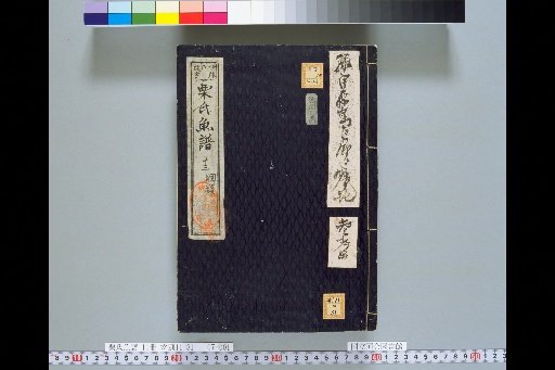 Kuri's Fish Catalogue, Volume 7, Volume 13
