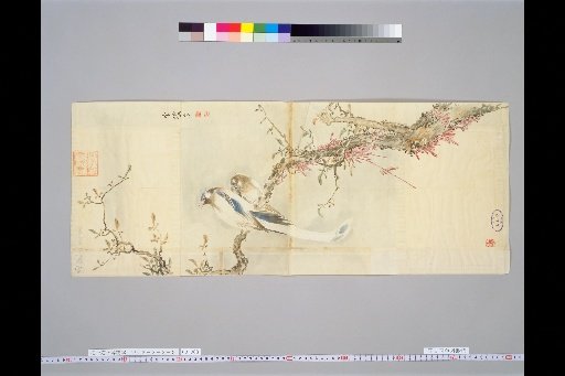 Hakuichi Ogyo-to Fumon: Birds and Flowers