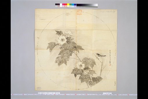 Hōitsu's Drafts for Various Subjects: Birds and Flowers