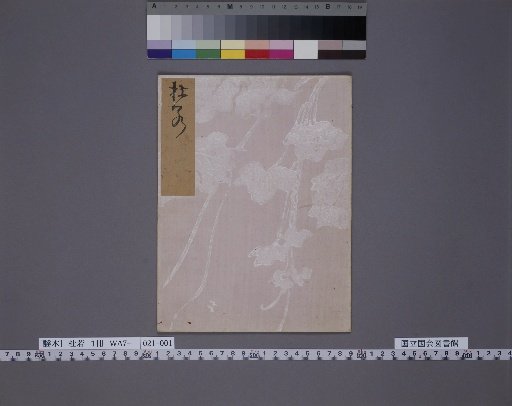 [Noh Script] Ajisai