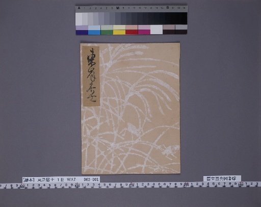 Tōgan Koji