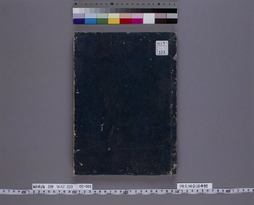 Treatise on the Precepts, Volume 2