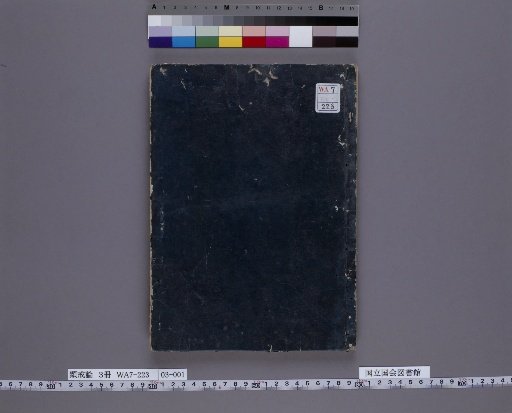 Treatise on the Precepts, Volume 3