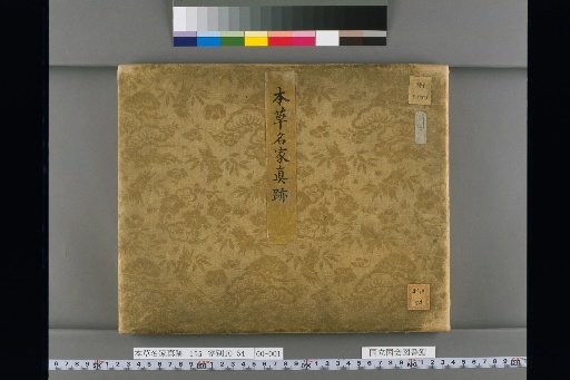 Authentic Manuscripts of Famous Herbalists