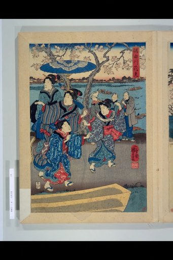 Cherry Blossom Viewing at Sumida River