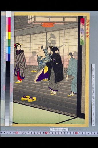 Newly Selected Eastern Brocade Pictures: The Story of Hashimotoya Shiraito
