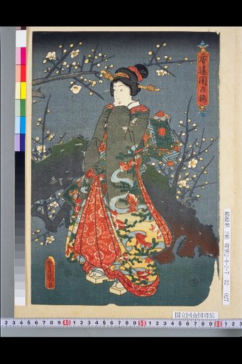Plum Blossoms in the Dark Fragrance