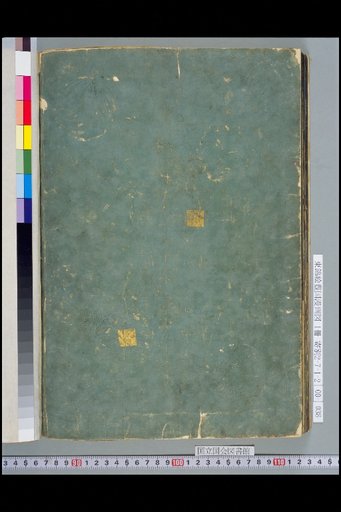 (Back Cover)
