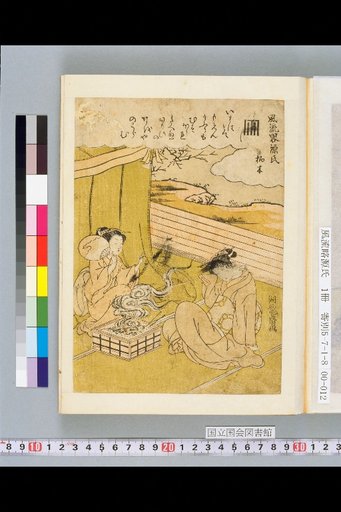 Elegant Brief Genji: Kashiwagi