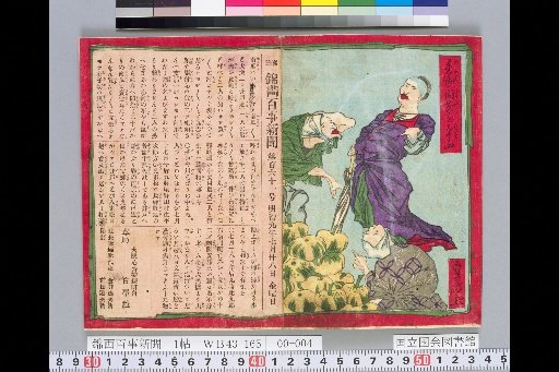 Nishiki-e Hyakka Shinbun No. 161