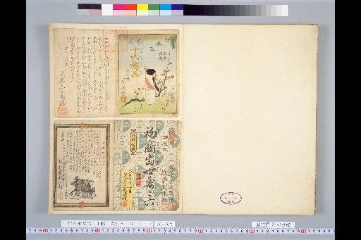 Tsubomi Hana Jūroku Ume-shin (Bag), Hatsushō Shusse Juroku (Bag)