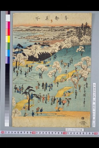 Famous Places of the Eastern Capital: Goten-yama Cherry Blossom Viewing, Shinagawa Full Map