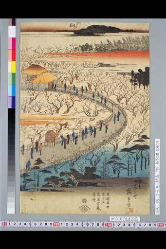 Famous Places of the Eastern Capital: Complete View of the Kameido Plum Shop