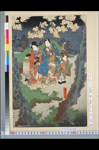 Plum and Butterfly Genji Colors Purple Five Festivals: Play of the Third Month in Full Bloom
