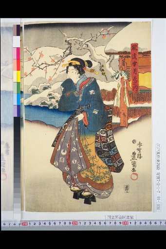 Elegant Snow, Moon, and Flowers: Snow