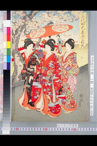 Chiyoda Ooku: Cherry Blossom Viewing