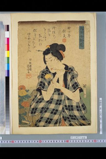 Striped-Set: Female Benkei: Yanagishitei Shūin