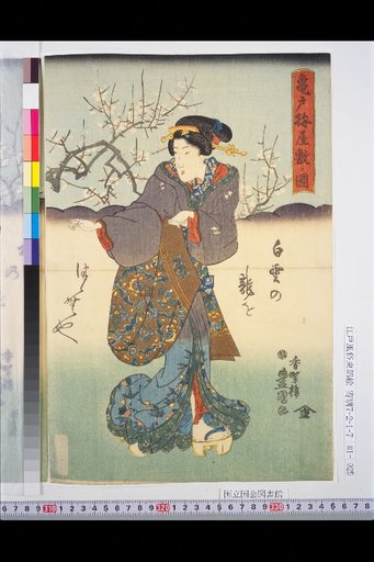 Kameido Plum Grove
